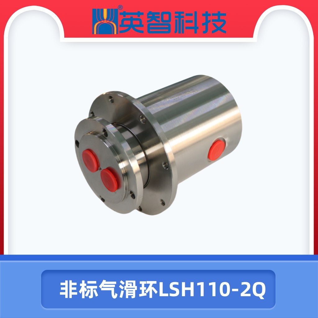 2路气99麻豆久久久久精品国产LSH110-2Q