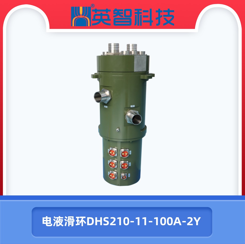 DHS210-11-100A-2Y电液99麻豆久久久久精品国产